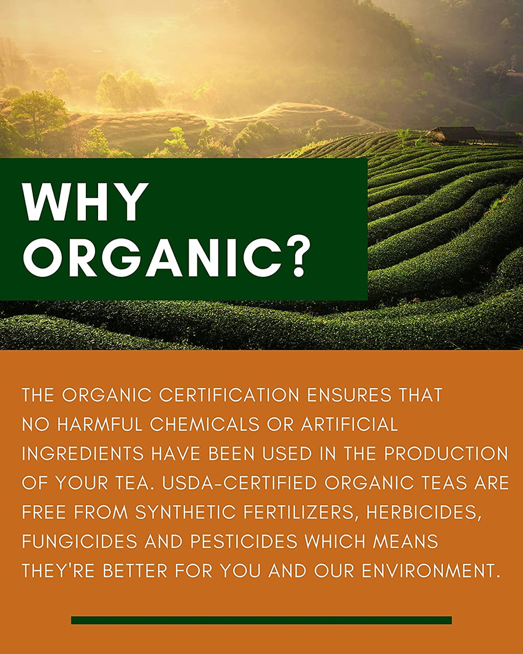 Turmeric Ginger Tulsi Chai Loose Tea, Ayurvedic Anti-Inflammatory Blend - Caffeine Free - 55+ Cups - USDA Organic & Kosher - 4 oz (113g)